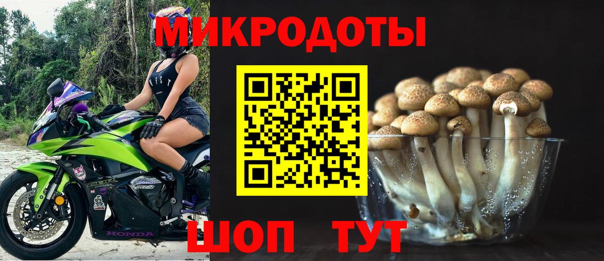 Галлюциногенные грибы мухоморы Липецк