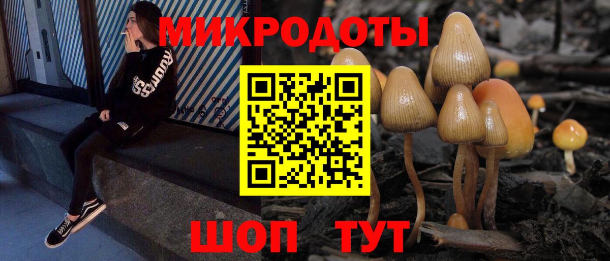 Липецк  Псилоцибиновые грибы MAGIC MUSHROOMS  Вход с VPN 